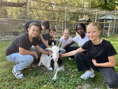 IMG 0659