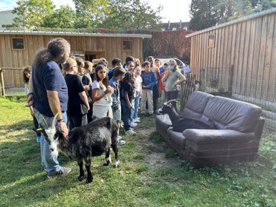 IMG 0665