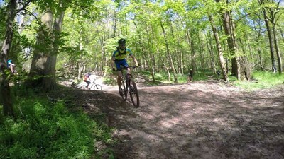 13139236 10208338659637871 7210368226065430605 n